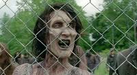    / The Walking Dead /  4 / 1-10   16 (2013-2014.,WEB-DLRip) 