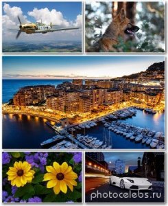  Best HD Wallpapers Pack 1163 