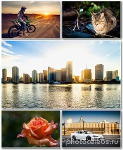  Best HD Wallpapers Pack 1164 