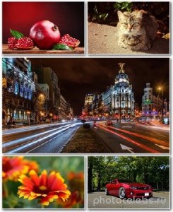  Best HD Wallpapers Pack 1167 