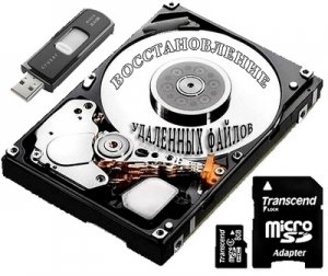  Raise Data Recovery for FAT / NTFS 5.12.1 (2014) RUS 