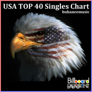  Billboard USA Top 40 & Top 100 Debuts 1st February (2014) 