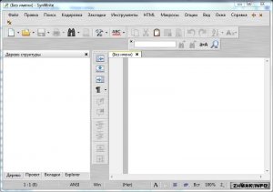  SynWrite v6.4.625 Final + Portable 