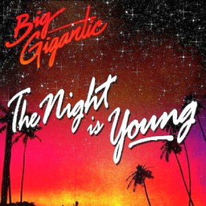  Big Gigantic - The Night is Young (2014) 