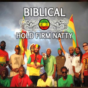  Biblical - Hold Firm Natty (2014) 