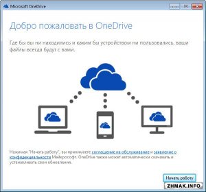  Microsoft OneDrive v17.0.4029.0217 