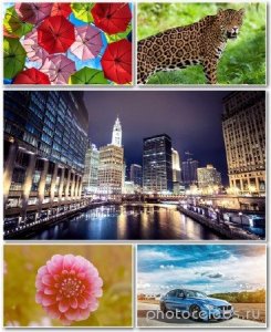  Best HD Wallpapers Pack 1176 