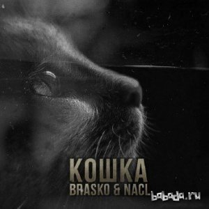  Brasko & NaCl -  (2014) 
