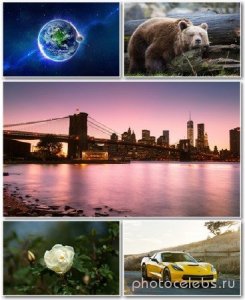  Best HD Wallpapers Pack 1177 