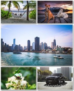  Best HD Wallpapers Pack 1178 