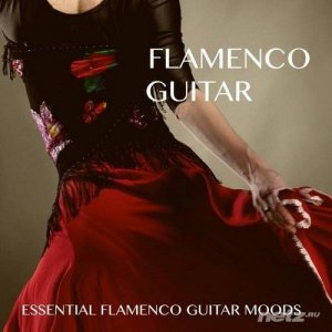  VA - Flamenco Guitar (2014) 