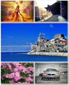 Best HD Wallpapers Pack 1180 