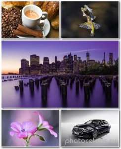  Best HD Wallpapers Pack 1181 