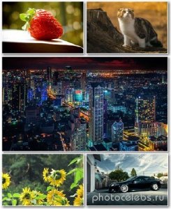  Best HD Wallpapers Pack 1182 