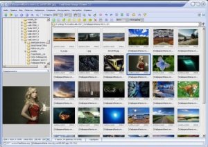  FastStone Image Viewer 5.0 Portable 