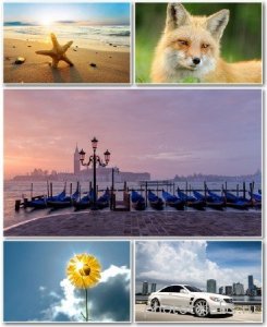  Best HD Wallpapers Pack 1185 