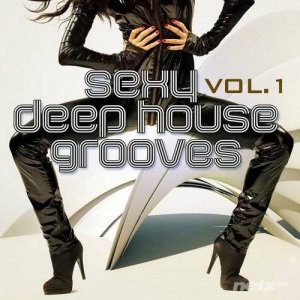  VA - Sexy Deep House Grooves, Vol. 1 (Attractive & Sensual House Collection) (2014) 