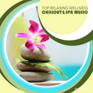  VA - Top Relaxing Wellness Chillout & Spa Music (2014) 