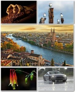  Best HD Wallpapers Pack 1315 