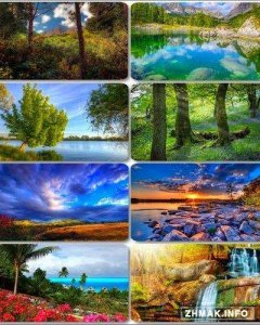  Beautiful Nature Wallpapers 102 