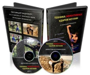  Александр Литвиненко. Техника эффективных ударов ногами (2013) Видеокурс 