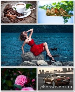  Best HD Wallpapers Pack 1316 