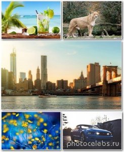  Best HD Wallpapers Pack 1317 