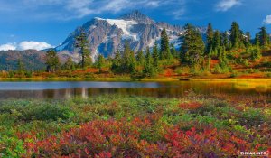  Beautiful Nature Wallpapers 103 