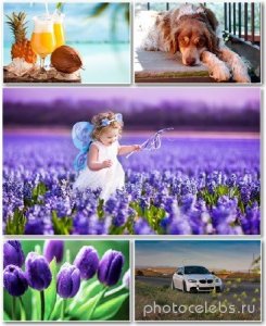  Best HD Wallpapers Pack №1319 