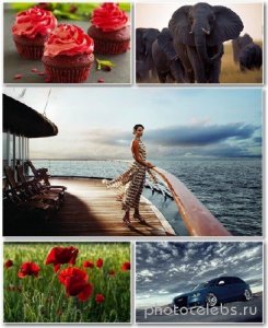  Best HD Wallpapers Pack 1321 