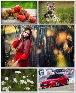 Best HD Wallpapers Pack 1323 