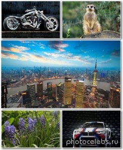  Best HD Wallpapers Pack 1325 