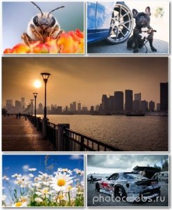  Best HD Wallpapers Pack 1328 