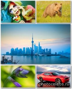  Best HD Wallpapers Pack 1332 