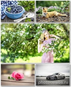  Best HD Wallpapers Pack 1333 