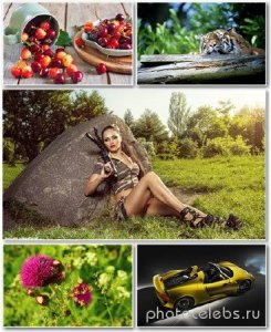  Best HD Wallpapers Pack 1338 