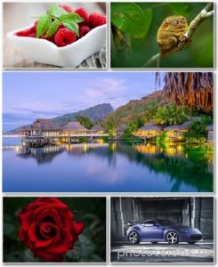  Best HD Wallpapers Pack 1340 