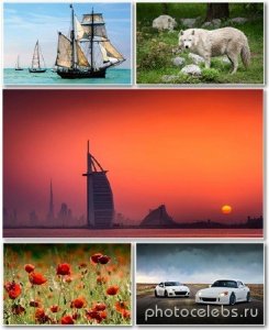  Best HD Wallpapers Pack 1341 