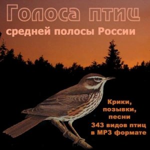  Звуки природы - Голоса птиц средней полосы России (2006) MP3 
