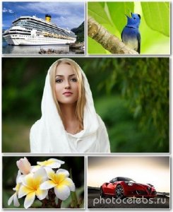  Best HD Wallpapers Pack 1343 