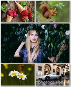  Best HD Wallpapers Pack 1344 