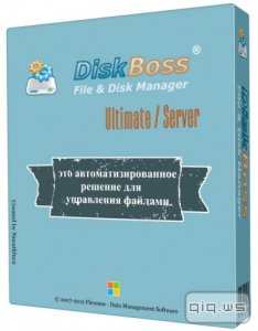  DiskBoss Pro / Ultimate / Server / Enterprise 4.8.32 Final 