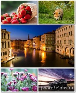  Best HD Wallpapers Pack 1346 