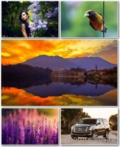  Best HD Wallpapers Pack 1347 