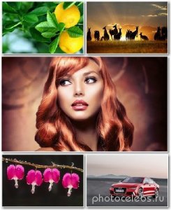  Best HD Wallpapers Pack 1350 