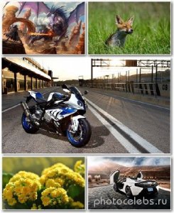  Best HD Wallpapers Pack 1351 