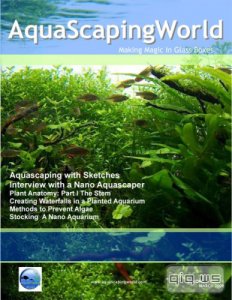  AquaScaping World Magazine - Issue 1 