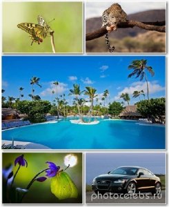  Best HD Wallpapers Pack 1355 