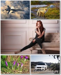  Best HD Wallpapers Pack 1364 