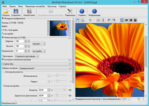  Benvista PhotoZoom Pro 6.0 ML/Rus + Portable 